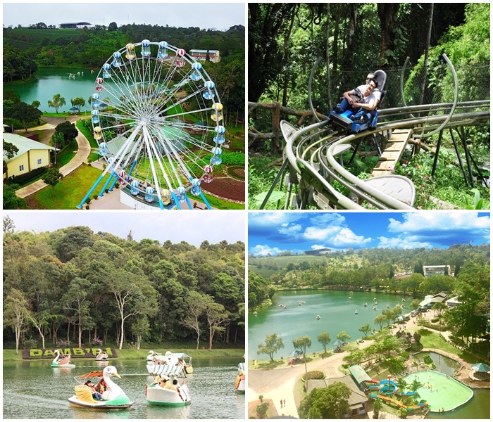 Dambri Bao Loc Resort 4